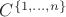 $C^{\{1,\ldots,n\}}$