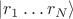 $|r_1 \dots r_N\rangle$