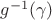 $g^{-1}(\gamma)$