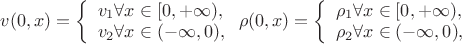 $ v(0, x) =  
\left\{ \begin{array}{l} 
v_1 \forall x \in [0, +\infty),\\ 
v_2 \forall x \in (-\infty, 0), 
\end{array} \right.
\rho(0, x) =  
\left\{ \begin{array}{l} 
\rho_1    \forall x \in [0, +\infty),\\ 
\rho_2    \forall x \in (-\infty, 0), 
\end{array} \right. 
$