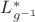 $L_{g^{-1}}^*$
