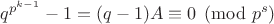 $q^{p^{k-1}}-1=(q-1)A \equiv 0 \pmod{p^s}$