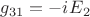 ${g_{31}} = {{-iE}_2}$