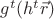 $g^t(h^t \vec r) $