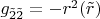 $g_{\tilde 2\tilde 2}=-r^2(\tilde r)$