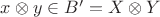 $x\otimes y\in B'=X\otimes Y$ $x\otimes y\in B'=X\otimes Y$