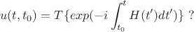 $$u(t,t_0)=T\{exp(-i\int_{t_0}^tH(t')dt')\} \ ?$$