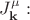 $J_{\mathbf{k}}^\mu:$