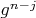 $g^{n-j}$