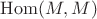 $\mathrm{Hom}(M, M)$
