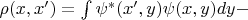 $\rho(x,x')=\int \psi^*(x',y)\psi(x,y)dy - $