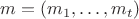 $m=(m_1,\ldots,m_t)$
