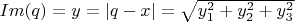 $Im(q) = y = | q - x | =\sqrt{y_1^2 +  y_2^2 +  y_3^2}$