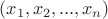 $(x_1,x_2,...,x_n)$