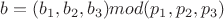 $ b=(b_1,b_2,b_3) mod(p_1,p_2,p_3)$