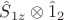 $\hat{S}_{1z} \otimes \hat{1}_2$