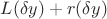 $L(\delta y) + r(\delta y)$
