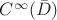 $C^\infty(\bar D)$