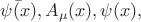 $\bar{\psi(x)}, A_\mu(x), \psi(x),$