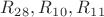 $R_2_8, R_1_0,R_1_1$