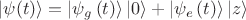 $\left| {\psi (t)} \right\rangle  = \left| {{\psi _g}\left( t \right)} \right\rangle \left| 0 \right\rangle  + \left| {{\psi _e}\left( t \right)} \right\rangle \left| z \right\rangle $