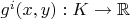 $g^i(x,y):K\to \mathbb R$