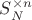 $S_{N}^{\times n}$