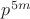 $p^{5m}$