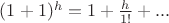 $(1+1)^h=1+\frac{h}{1!}+...$