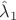 $\hat \lambda_1$