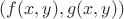 $(f(x, y), g(x,y))$