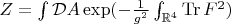 $Z=\int {\mathcal{D}A}\exp(-\frac{1}{g^{2}}\int_{\mathbb{R}^{4}}\operatorname{Tr} F^{2})$