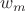 $w_{m}$