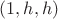 $(1,h,h)$