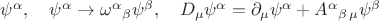 $\psi^\alpha,\quad\psi^\alpha\to\omega^\alpha{}_\beta\psi^\beta,\quad D_\mu\psi^\alpha=\partial_\mu\psi^\alpha+A^\alpha{}_{\beta\,\mu}\psi^\beta$