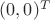 $(0,0)^T$
