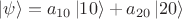 $|\psi \rangle = a_{10} \, |10\rangle + a_{20} \, |20\rangle$