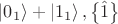 $\left| {{0_1}} \right\rangle  + \left| {{1_1}} \right\rangle ,\left\{ {\hat 1} \right\}$