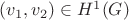 $ (v_1,v_2) \in H^1(G) $ $ (v_1,v_2) \in H^1(G) $