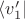 $\langle v'_1|$