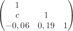 $\begin{pmatrix} 1 & &  \\ c & 1 &  \\ -0,06 & 0,19 & 1  \end{pmatrix}  $