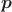 \boldsymbol{p} \boldsymbol{p}