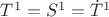 $T^1=S^1=\dot {T}^1$
