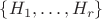 $\{H_1, \ldots, H_r\}$