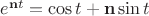 $e^{\mathbf nt} = \cos t + \mathbf n\sin t$