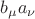 $b_{\mu}a_{\nu}$