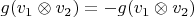 $g(v_1\otimes v_2) = -g(v_1\otimes v_2)$