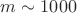 $m\sim 1000$
