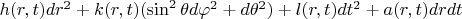 $h(r,t)dr^2+k(r,t)(\sin^2\theta d\varphi^2+d\theta^2)+l(r,t)dt^2+a(r,t)drdt$