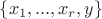 $\{x_1,...,x_r,y\}$